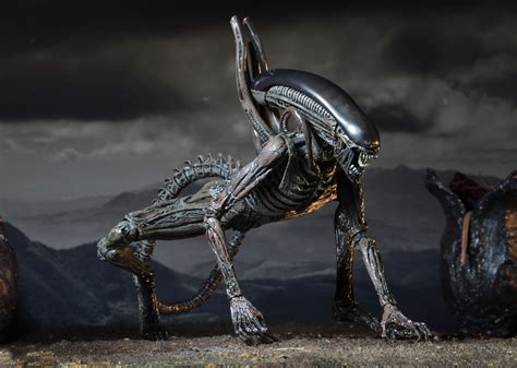 Neca Alien Covenant Neomorph Xenomorph Chestburster Figures Unveiled