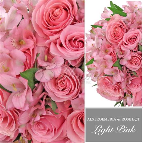 Light Pink Rose & Alstroemeria Monochromatic Bouquets EbloomsDire 2019 - Eblooms Farm Direct Inc.