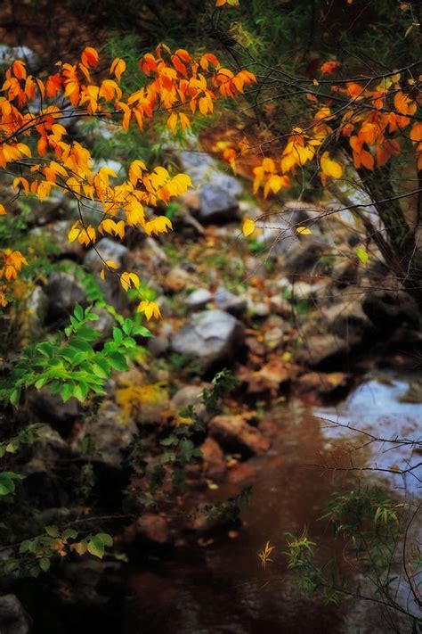 Colors On The Creek Photograph By Toni Hopper Fine Art America