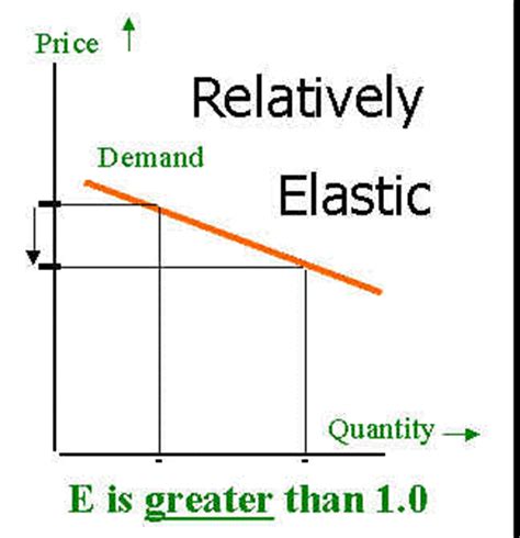 😎 Relatively elastic demand. What are the example of relatively ...