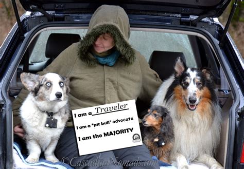 Most of these scammers are not in the united states. The Majority of Dog Owners Travel With Their Dogs, Breed Shouldn't Matter | #TheMajorityProject ...