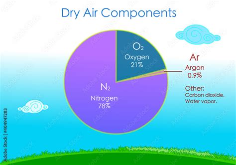 Vecteur Stock Dry Air Components Diagram Atmosphere Composition Gases