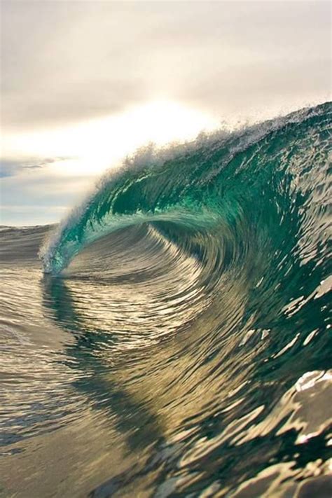 Experts estimate that 71 percent of the earth's surface is completely covered by water with approximately 96.5 percent of this water being ocean. Big Beautiful Maui Wave, Hawaii. | Surfing waves, Waves ...