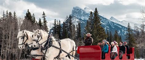 Banff Public Sleigh Rides Banff Trail Riders Official Website