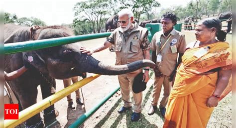 Modi ‘what A Delight Pm Narendra Modi Felicitates ‘the Elephant