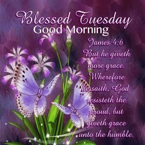 Blessed Tuesday Good Morning Pictures Photos And Images For Facebook