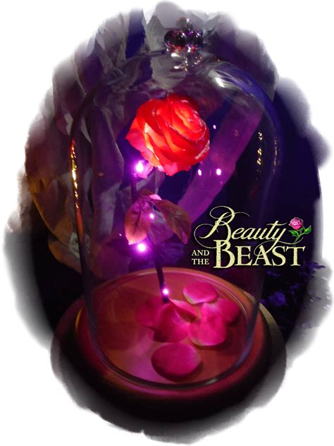 Beauty And The Beast Enchanted Rose Dome Disney Fairy Tale