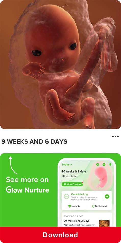 9 Weeks 6 Days Pregnancy Symptoms Pregnancysymptoms
