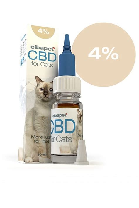 Does your cat have arthritis or joint problems? 4% CBD Oil For Cats South Africa