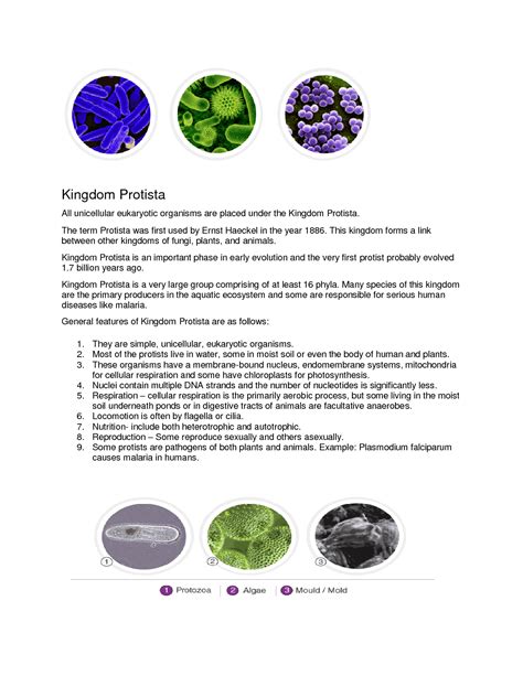 SOLUTION Biology Kingdom Monera Protista And Fungi Studypool