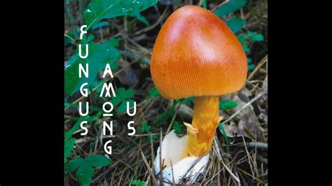 Fungus Among Us Youtube