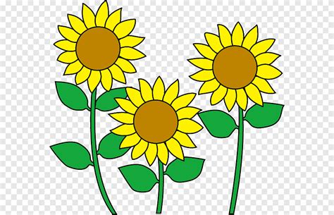 40 Gambar Bunga Matahari Kartun Berwarna Paling Dicari Informasi
