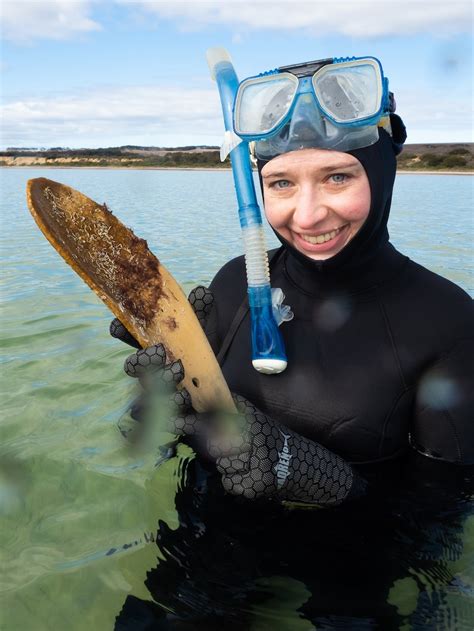 Art Meets Science As Handmade Shells Help Marine Life Grow Off Kangaroo