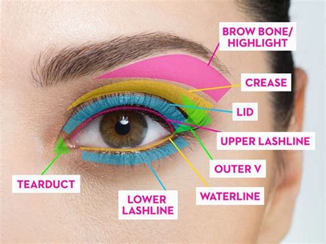 Makeup Class For Beginners Apply Your Eye Shadows