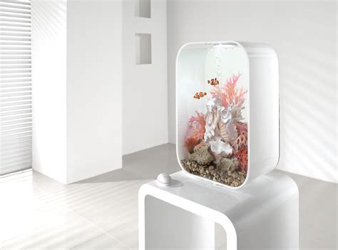 Aquarium Biorb Life 45l White Cool Fish Tanks Fish Tank Aquarium Design
