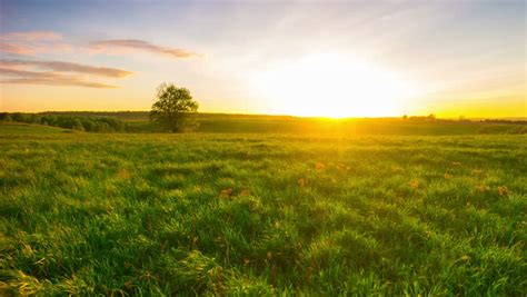 Sunset And Green Field Panoramic Stock Footage Video 100 Royalty