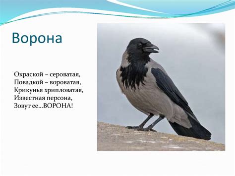 Проект «Птицы наши друзья» - online presentation
