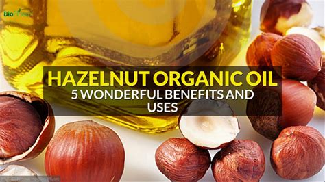 Wonderful Benefits And Uses Of Hazelnut Organic Oil YouTube