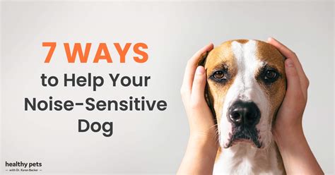 7 Ways To Help Your Noise Sensitive Dog