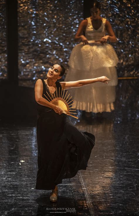 Rafaela Carrasco Premio Nacional De Danza 2023 Lleva Al Teatro Gayarre Nocturna