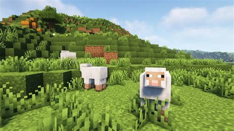 What Do Sheep Eat In Minecraft Everything You Ought To Know