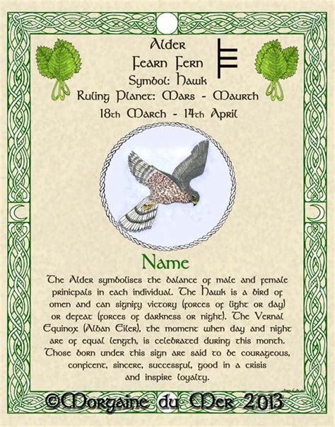 Which Celtic Tree Zodiac Sign Are You And What It Says About You Artofit