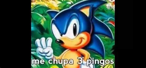 Me Chupa Pingos Sonic Sonic The Hedgehog Hedgehog