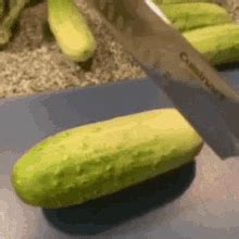 Squirting Cucumber Upvote Gif Squirting Cucumber Squirting Upvote Discover Share Gifs