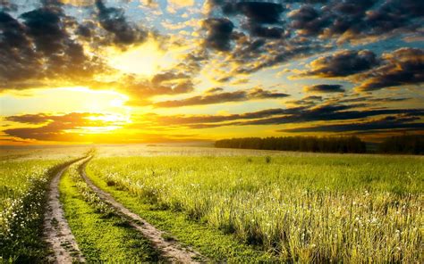 Wallpaper Sunlight Landscape Food Sunset Nature Sky Field