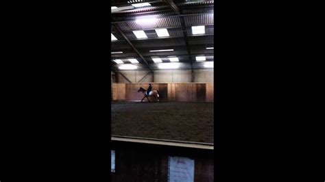 Bourne Vale Stables Cantering Sultan Youtube