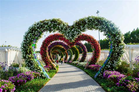 Dubai Miracle Garden A Flower Paradise Passion For Dubai