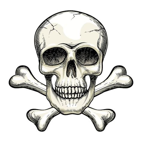 Skull And Crossbones Free Vector Eps Cdr Ai Svg Vector Illustration