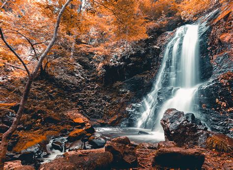 Waterfall Stones Tree Autumn Hd Wallpaper Peakpx