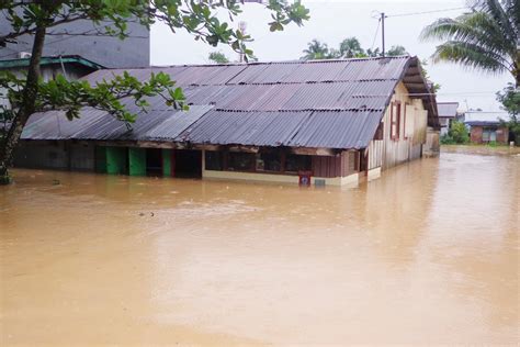15+ gambar sketsa untuk belajar anak dalam mewarnai gambar. Gambar Mewarnai Bencana Alam Banjir