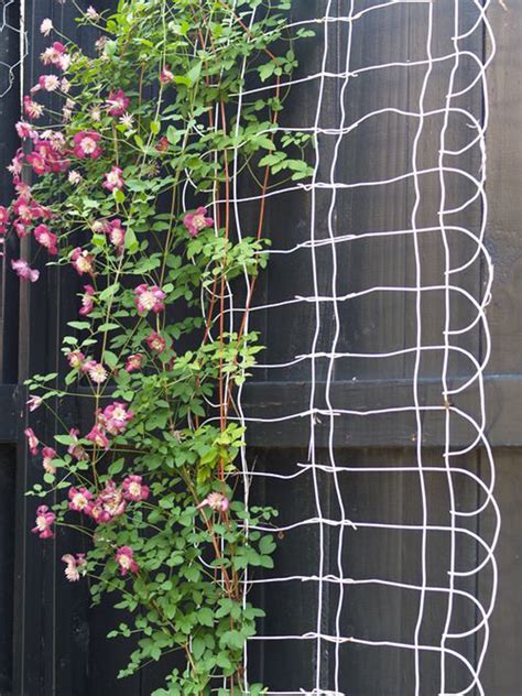 25 Beautiful Diy Trellis For Small Garden Homemydesign