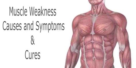 Muscle Weakness Causes Symptoms And Cures Sarvyoga Yoga