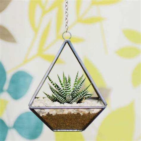 Small Geometric Glass Vase Succulent Terrarium Kit By Dingading
