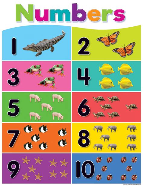 Preschool Number Chart Clipart Barfield