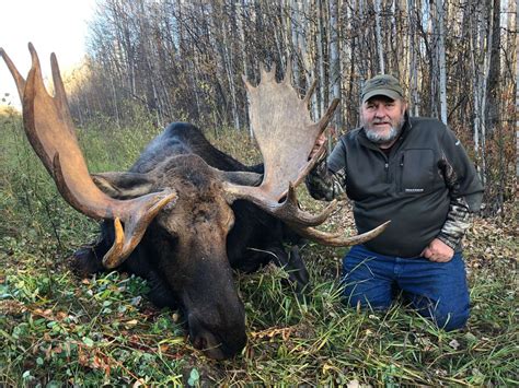 Moose Hunts Keg Country Outfitters Ltd