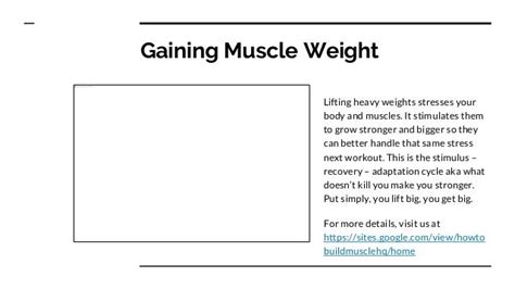 How To Build Muscle With Noob Gains