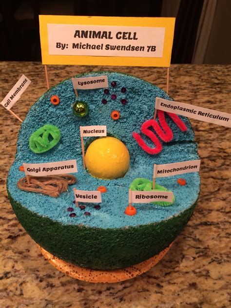Animal Cell Project 6th Grade Lavonne Steadman