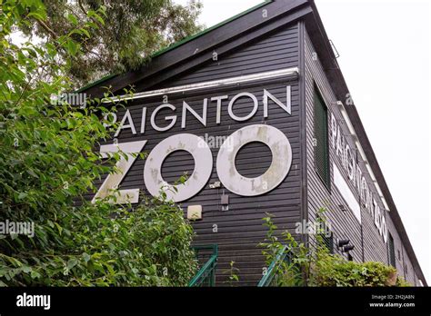 Paignton Zoo Devon England United Kingdom Stock Photo Alamy