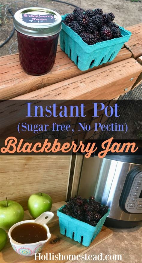 Butter keeps foam from forming during cooking. Instant Pot Blackberry Jam Recipe (No Sugar, No Pectin ...