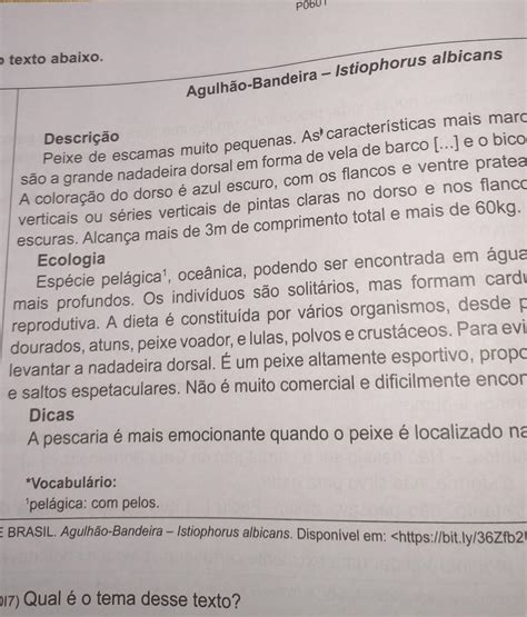 Qual é O Tema Desse Texto