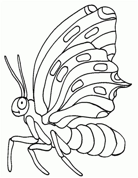 Insect Pictures For Kids Coloring Home