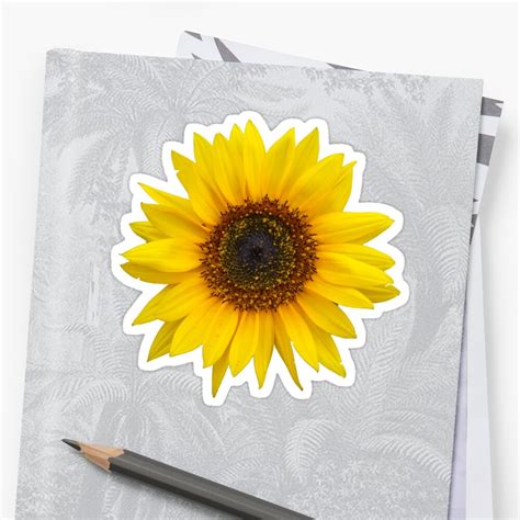 "Sunflower" Sticker by ghjura | Redbubble Learn how to draw a sunflower with this easy step by step tutorial.