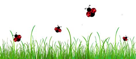 Grass With Ladybugs Png Clipart Picture Gallery Yopriceville High