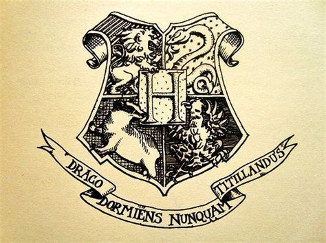 However, these four knew that with the castle and extensive grounds, they could protect far more than young minds. II Draco Dormiens Nunquam Titillandus II | The boy who ...