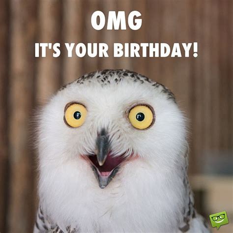 Funny Happy Birthday Image With Owl Alles Gute Zum Geburtstag Bilder