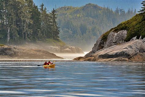Kayakers Paddling The Coastal Wilderness Orca Dreams Offers Kayaking